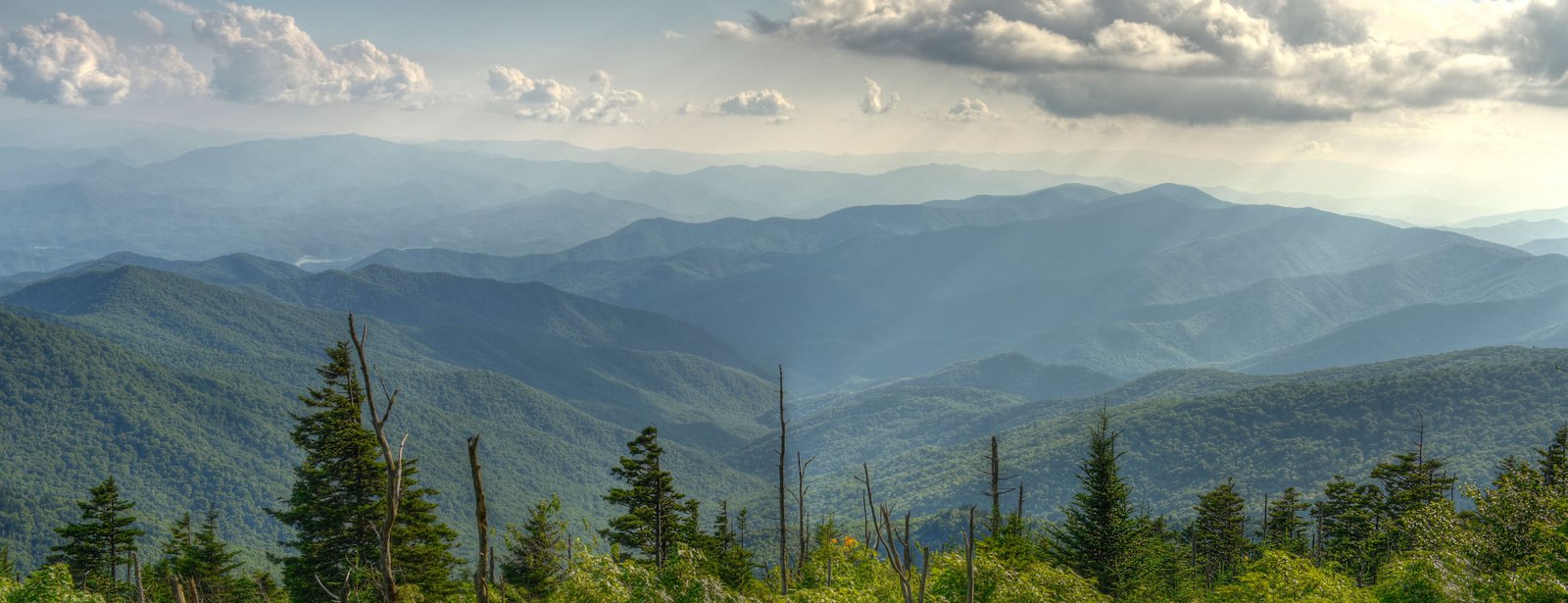 Tindahan ni Aleng Nena